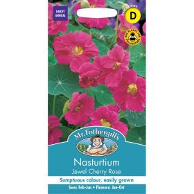 Nasturtium Jewel Cherry Rose Seeds